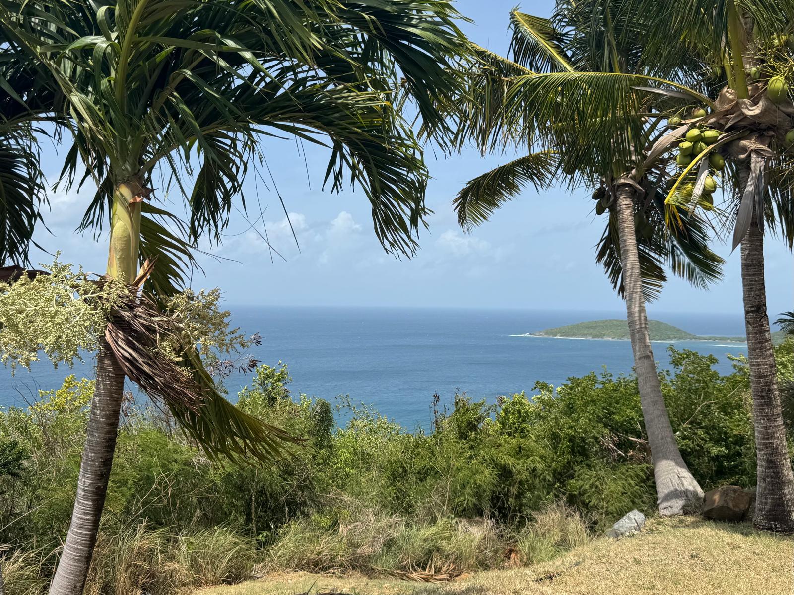 La Quinta Culebra 1 